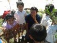 /album/fotogaleria-escuela-estado-de-tabasco/a2015-12-02-10-46-10-jpg1/